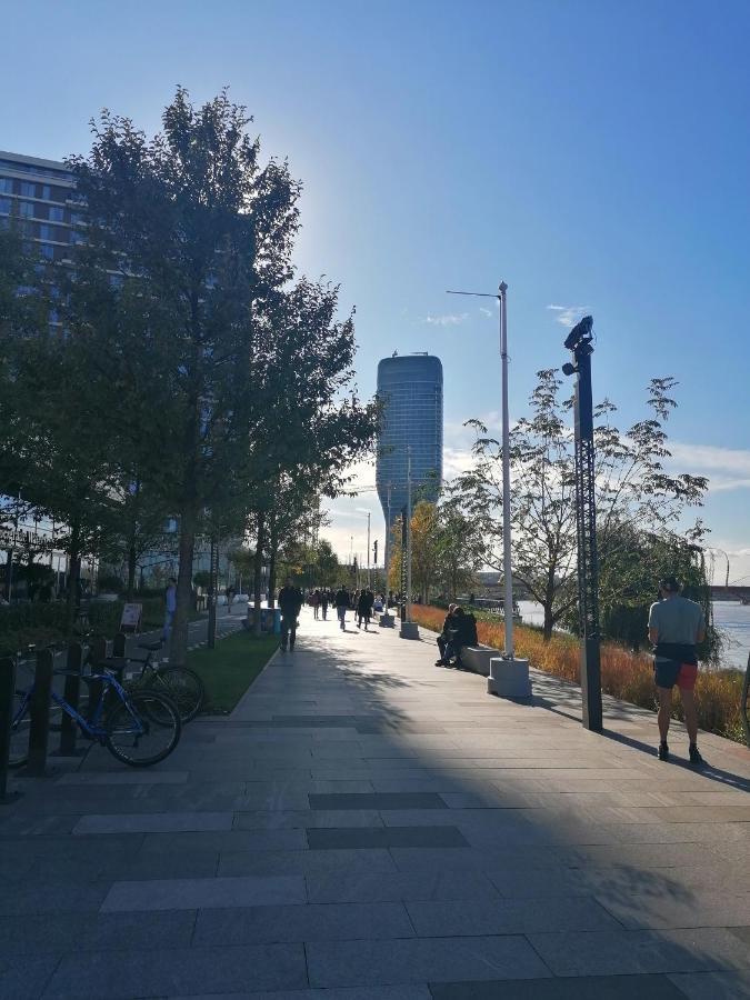 Апартаменти Belgrade Waterfront Cozy Symphony 1 Sajmiste Екстер'єр фото
